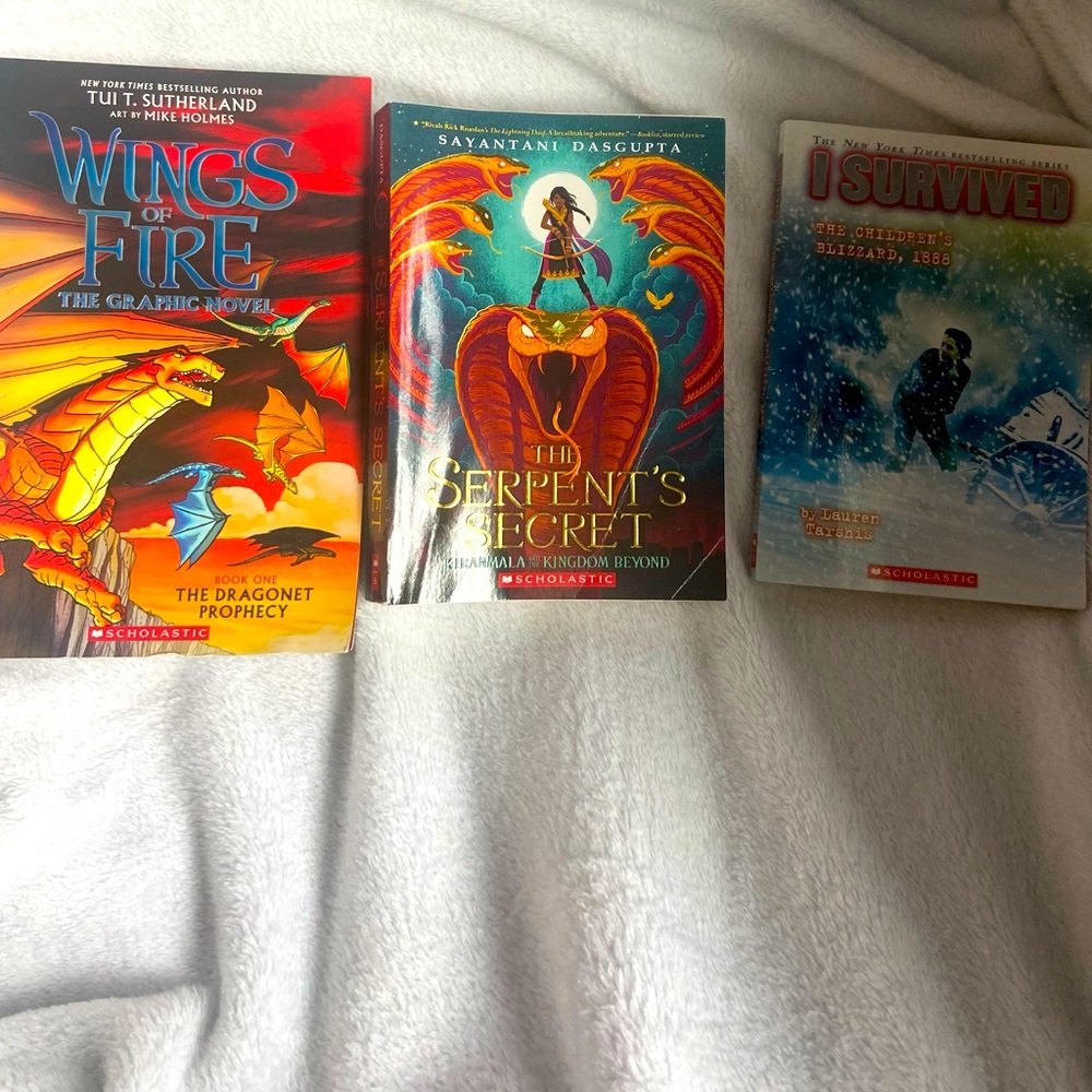 Scholastic Chapter book bundle